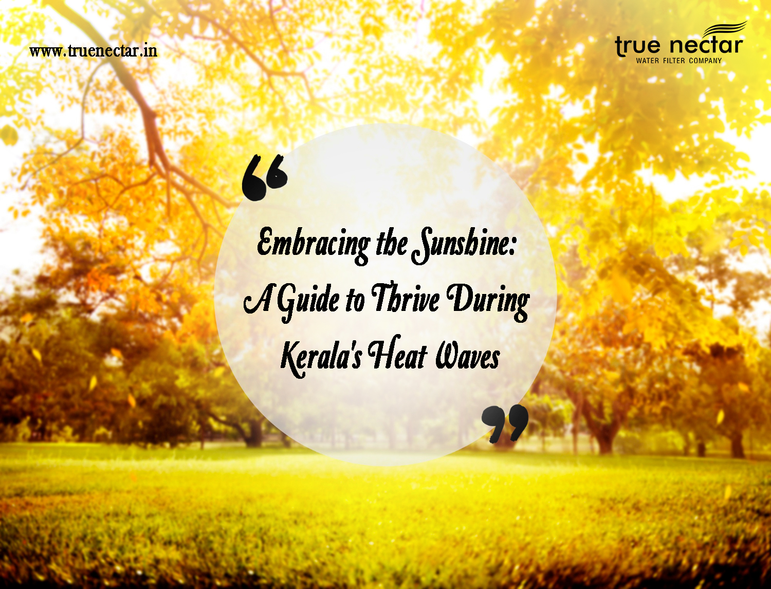 Embracing the Sunshine - A Guide to Thrive During Kerala's Heat Waves